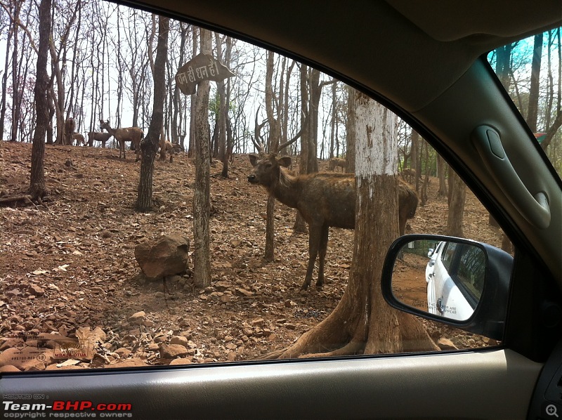 The Fortuner Posse rides again - Into the Jungle!-1.jpg