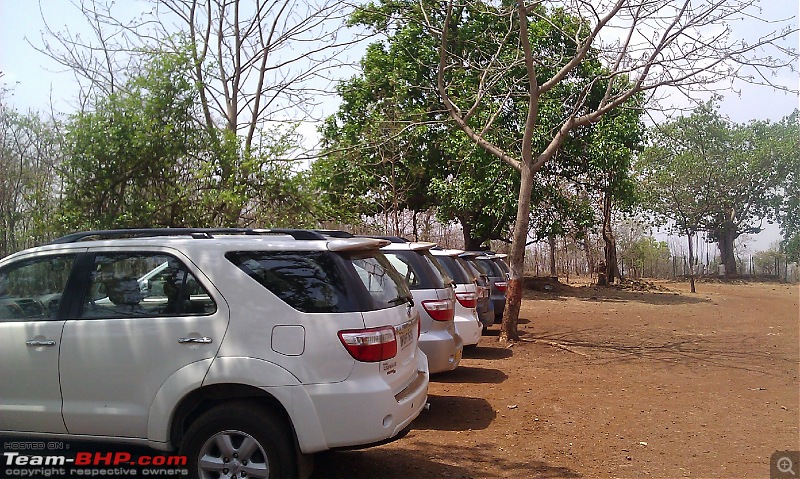 The Fortuner Posse rides again - Into the Jungle!-minijungle-line-up-2.jpg