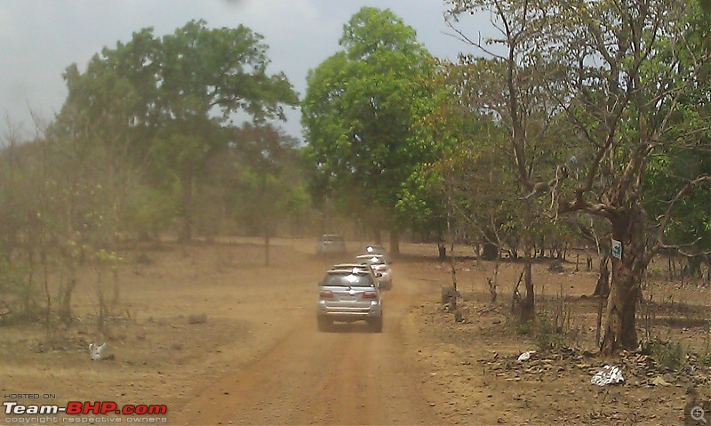 The Fortuner Posse rides again - Into the Jungle!-return-jungle-journey.jpg