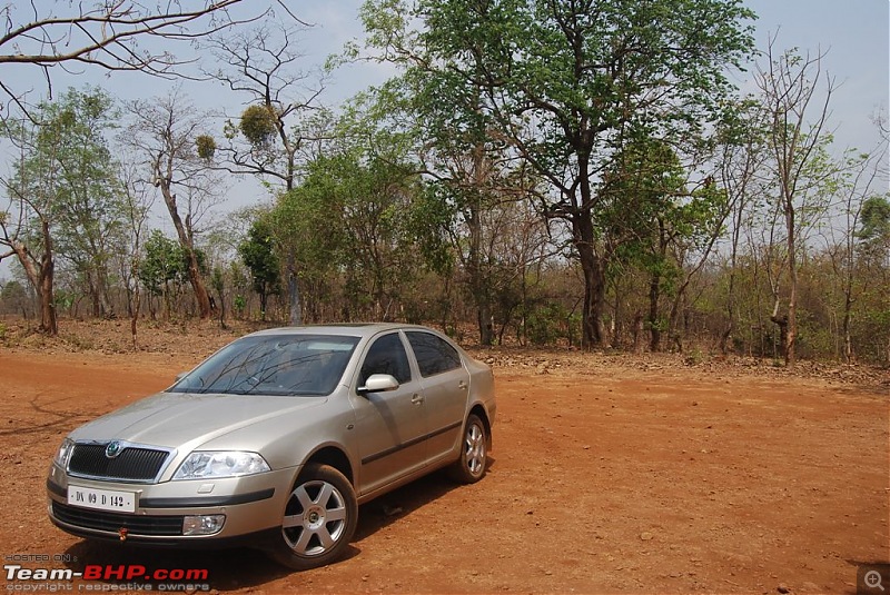 The Fortuner Posse rides again - Into the Jungle!-laura.jpg