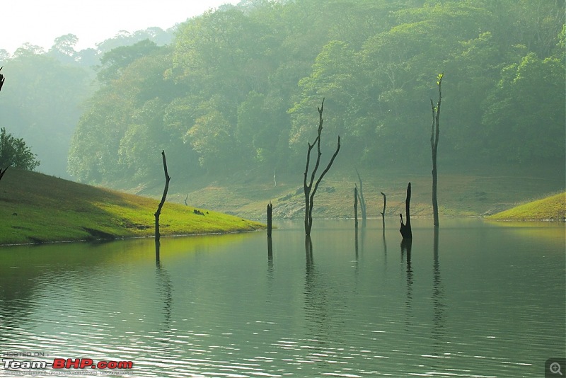 One more Wildlife Trip - Gavi, Thekkady-thekkady1.jpg