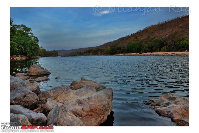 Quick dash to the jungles of Galibore...on the banks of Cauvery-eve.jpeg