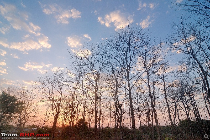 Tadoba in May 2013-tadoba2.jpg