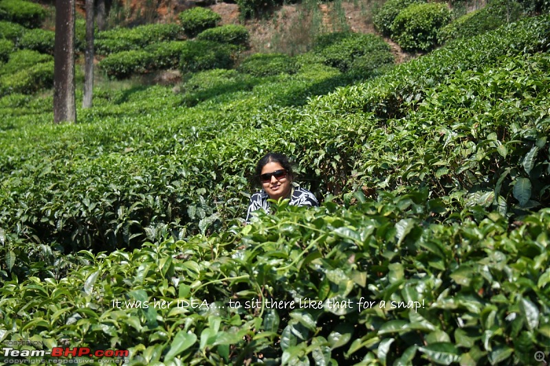 Bangalore-Kalasa-Kudremukh-Udupi-Karkala-Charmadi-Bangalore-her_idea-desktop-resolution.jpg