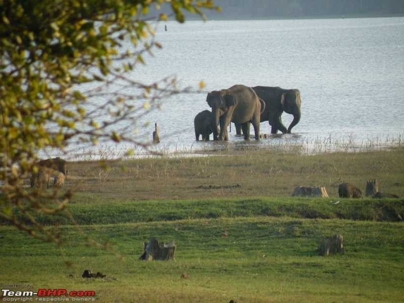 Exploring Karnataka Place after Place - With Pictures-dscf3509.jpg