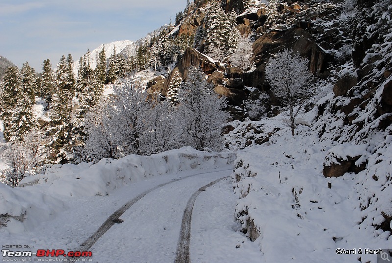 Of White-Outs and Landslides-dsc_0949.jpg