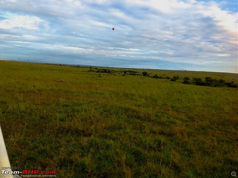 Masai Mara - A Quintessential African Safari-img_0425.jpg