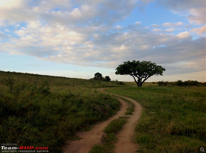 Masai Mara - A Quintessential African Safari-img_0271.jpg