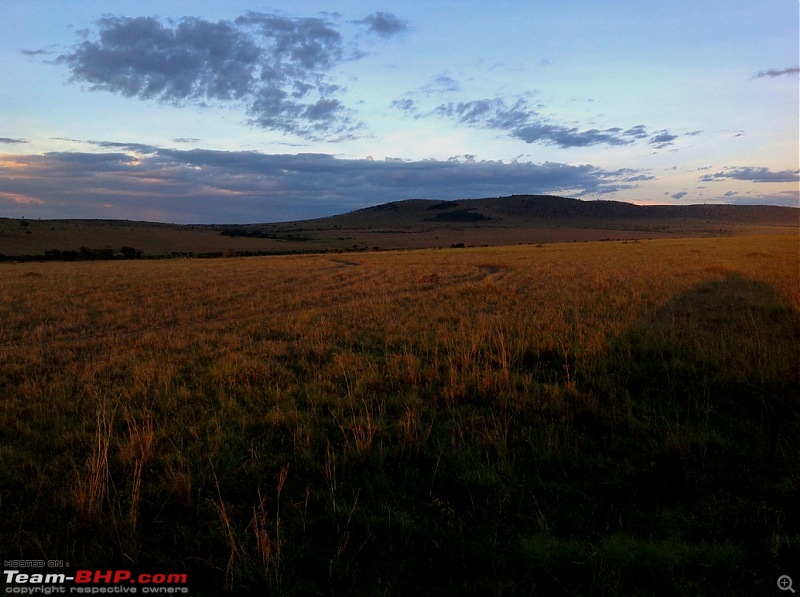 Masai Mara - A Quintessential African Safari-img_0221.jpg