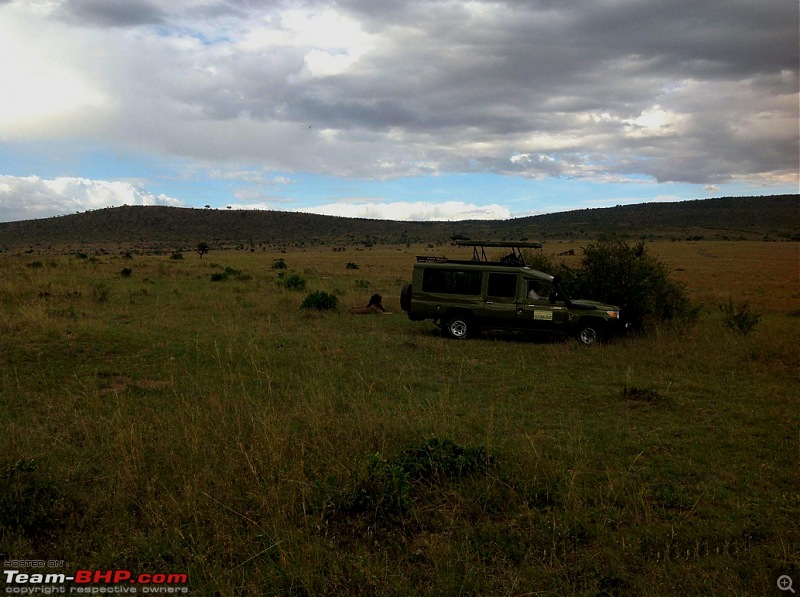 Masai Mara - A Quintessential African Safari-img_0164.jpg