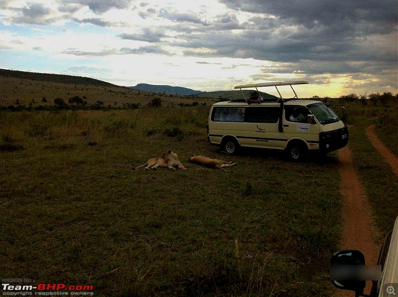 Masai Mara - A Quintessential African Safari-img_0165.jpg
