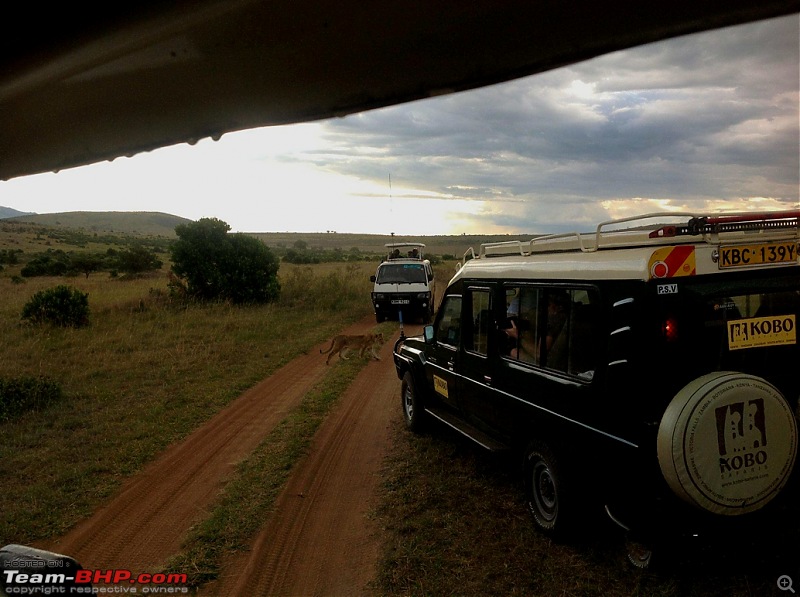 Masai Mara - A Quintessential African Safari-img_0184.jpg