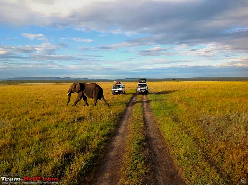 Masai Mara - A Quintessential African Safari-img_0432.jpg