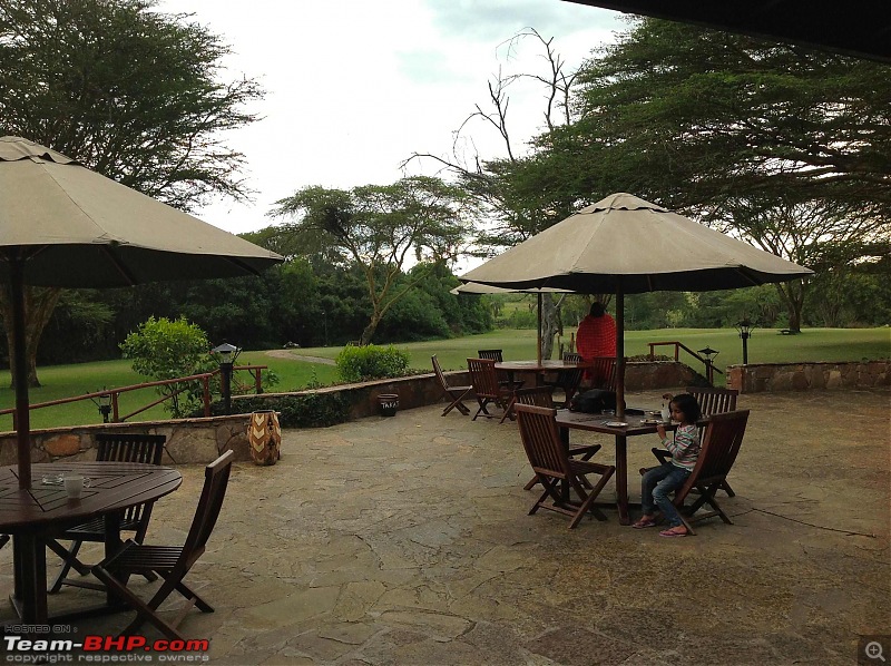 Masai Mara - A Quintessential African Safari-img_0131.jpg