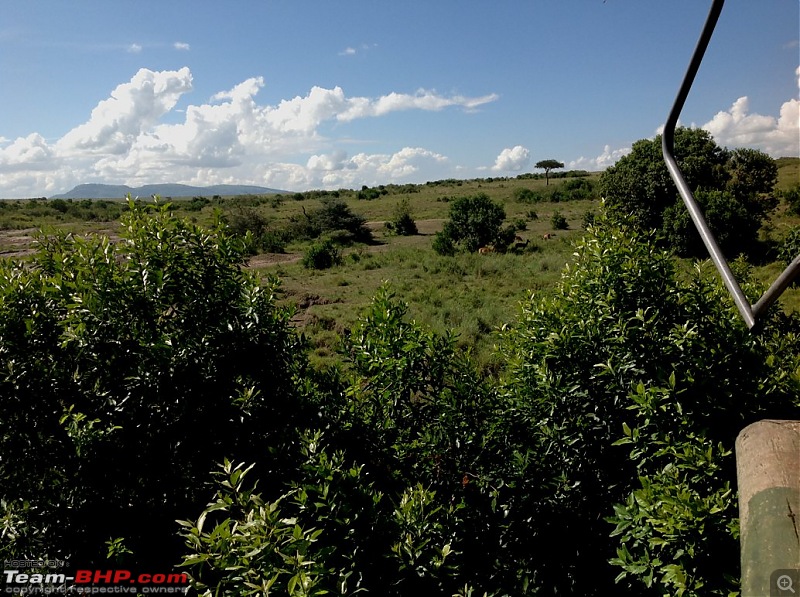 Masai Mara - A Quintessential African Safari-img_0356.jpg