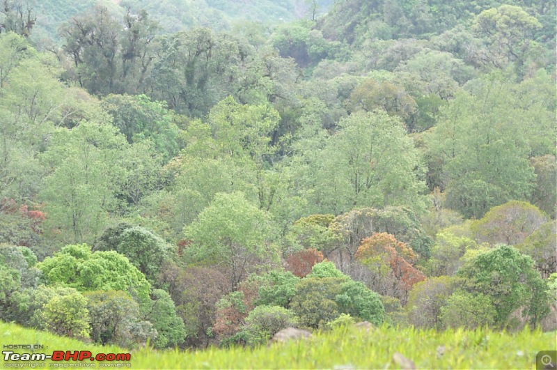 Trekking to Shiroi Peak to See a Rare Lily Bloom!-_dsc1076.jpg