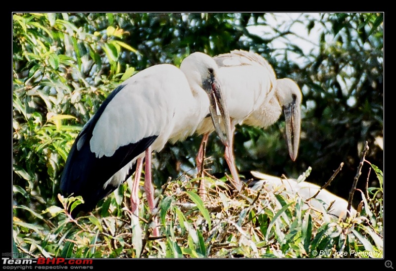 Wedding bells in the hills!::Pune-BLR-Mysore-Masinagudy-Ooty-Gudalur-Mysore-BLR-Pune-rtbs1.jpg