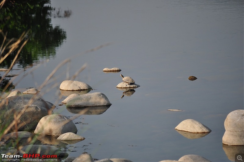 Corbett-Kumaon-Nainital Trip - A small honeymoon Travelogue-dsc0047.jpg