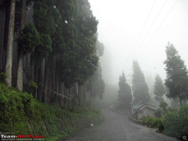 Sikkim & its greenery again!-img_0225.jpg