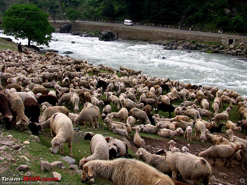 Drive to Kashmir Valley & Ladakh in my XUV500-xuv-7.jpg