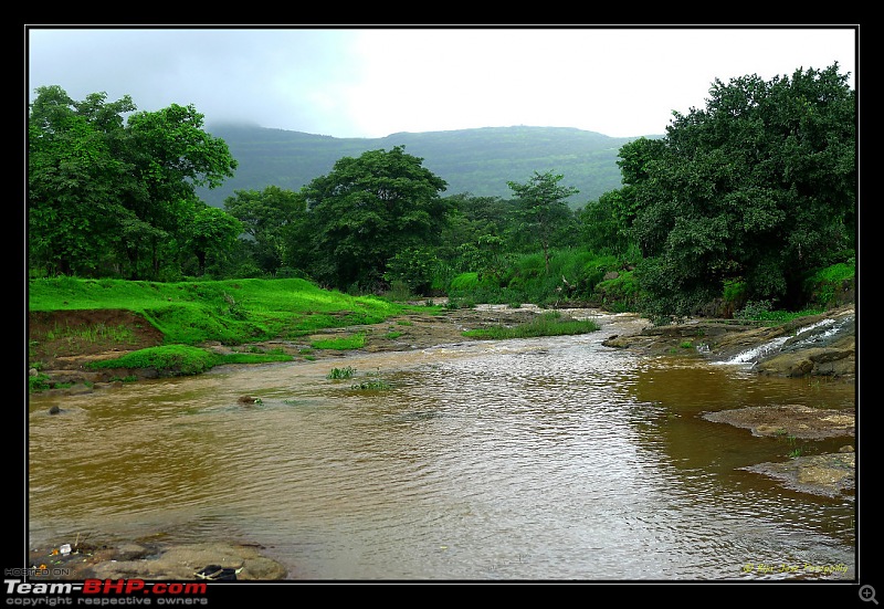 2011 Monsoon Trips: Hadshi (Temple, Lotus Flowers, Paddy Fields, Rolling Green Hills)-p1080963.jpg