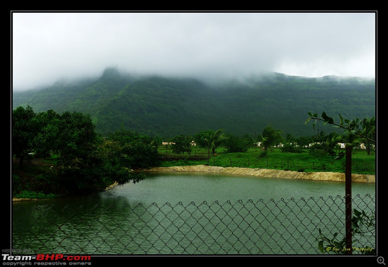 2011 Monsoon Trips: Hadshi (Temple, Lotus Flowers, Paddy Fields, Rolling Green Hills)-p1080893.jpg