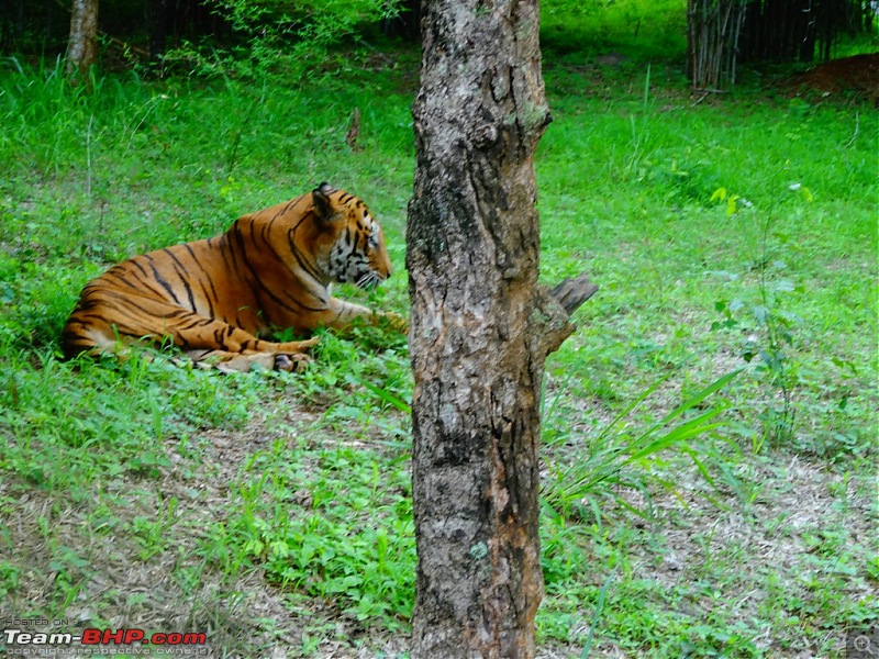 A walk in the Park - Bannerghatta National Park-dsc00831.jpg