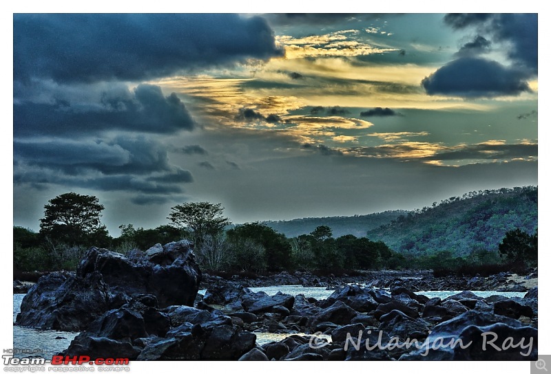 Quick dash to the jungles of Galibore...on the banks of Cauvery-evening.jpg