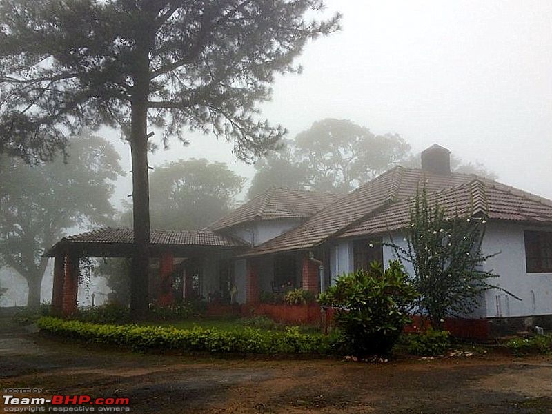 Fauji's Drivologues - Monsoon experience @ Mango Range, Nilgiris-mango-1.jpg