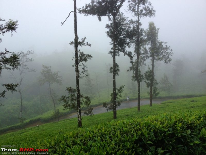 Fauji's Drivologues - Monsoon experience @ Mango Range, Nilgiris-mr3.jpg