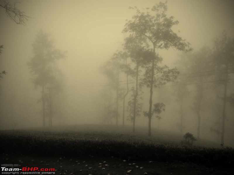 Fauji's Drivologues - Monsoon experience @ Mango Range, Nilgiris-mr4.jpg