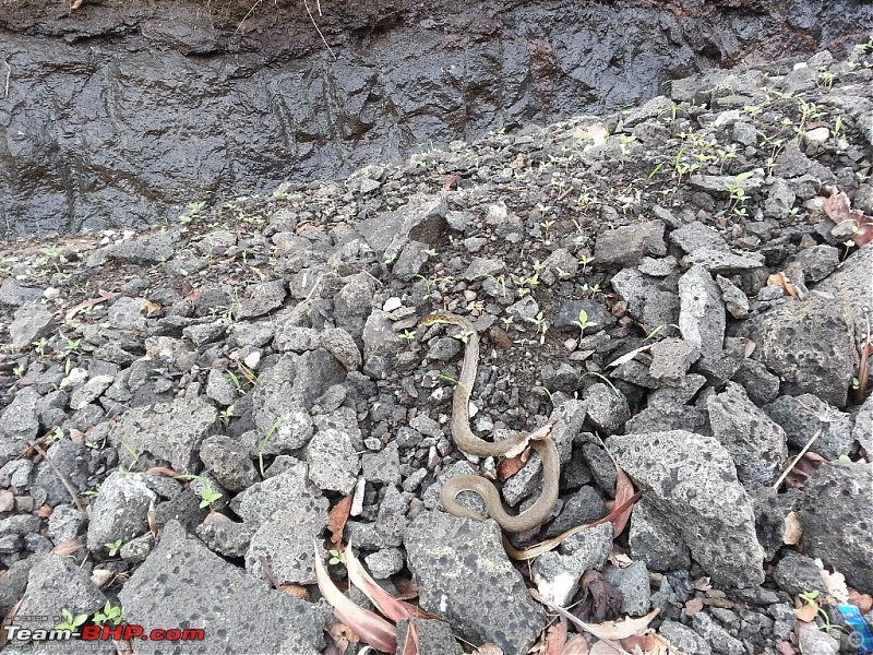 Matheran on Foot-20130615_093213.jpg