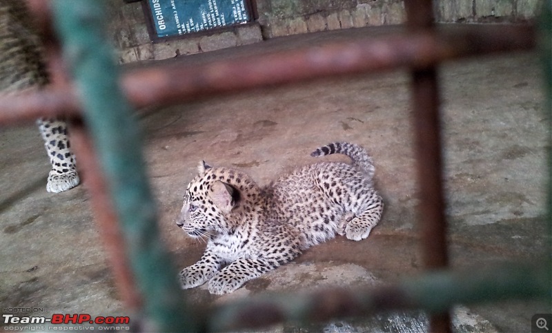 A walk in the Park - Bannerghatta National Park-8.jpg