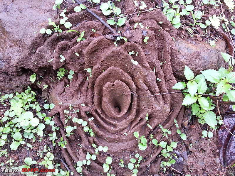 Matheran on Foot-20130615_104428.jpg