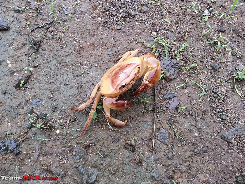 Matheran on Foot-20130615_104549.jpg