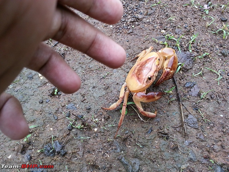 Matheran on Foot-20130615_104556.jpg