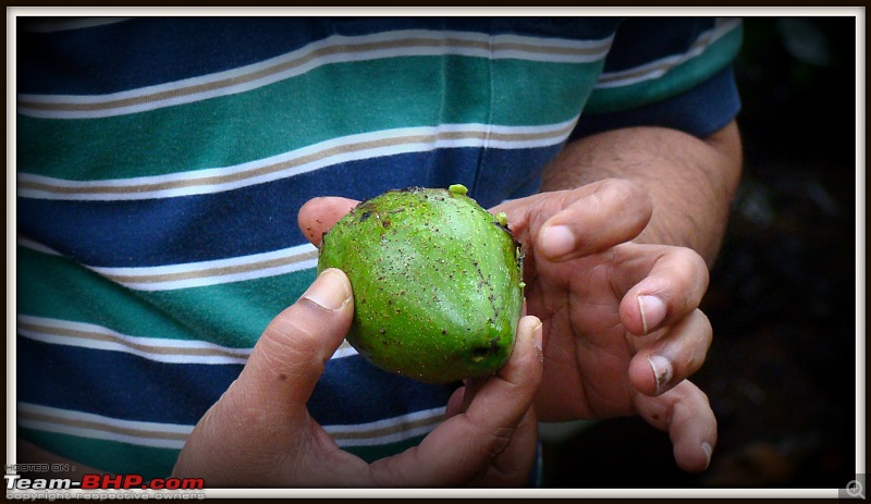 The first rains: A weekend in Madikeri-dsc04837.jpg