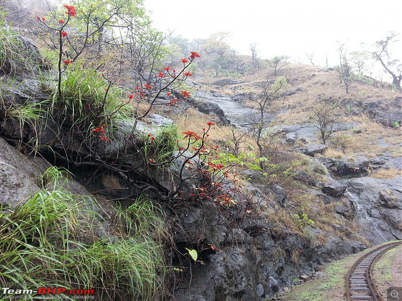 Matheran on Foot-20130615_114701.jpg