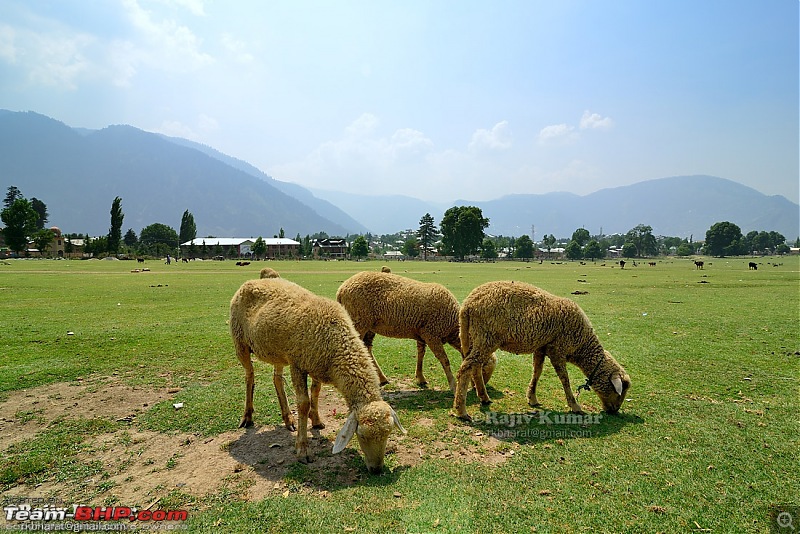 Kashmir - Heaven, where you live to experience it-kashmir-52.jpg