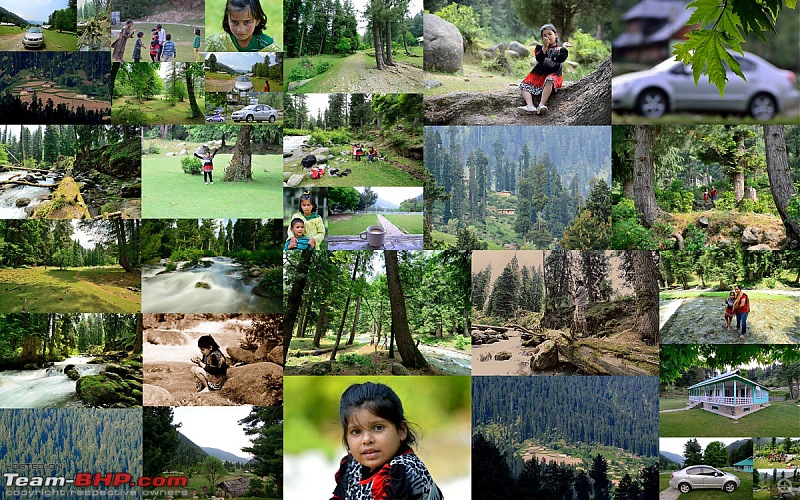 Kashmir - Heaven, where you live to experience it-collage-day-3small.jpg