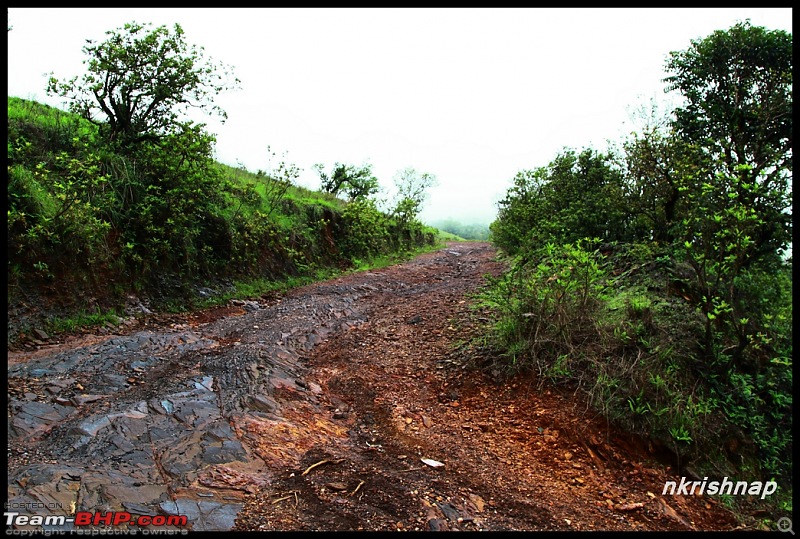 A quick dash to Kodachadri-img_2605_1.jpg