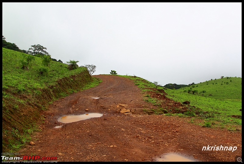 A quick dash to Kodachadri-img_2609_1.jpg