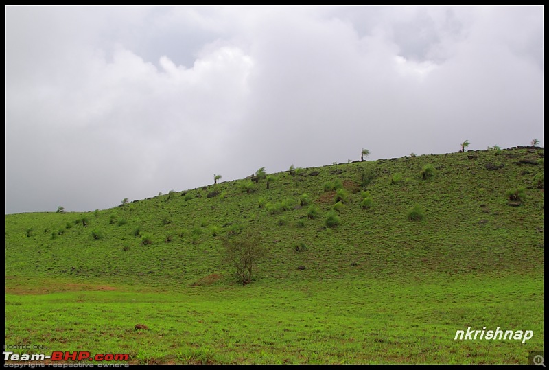 A quick dash to Kodachadri-img_2610_1.jpg