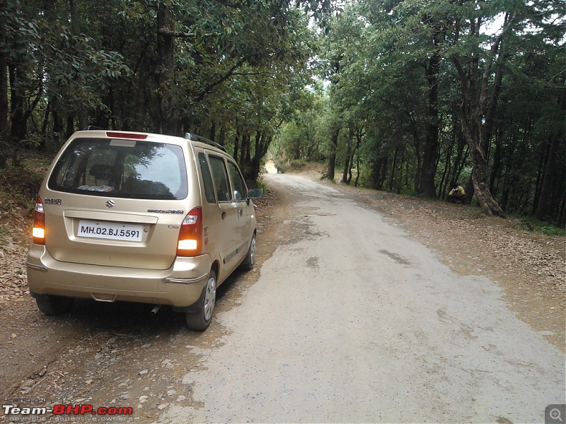 Road Trip to Chail -> Kufri -> Shimla -> Chandigarh-24_1.jpg