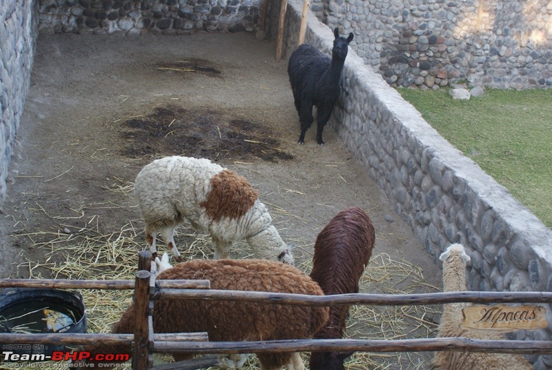 To the Lost City of Incas - Peru on a Budget!-dsc09882.jpg