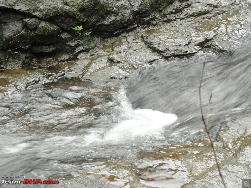 Bhimashankar  My first official Trek-23small-waterfall-flowing.jpg