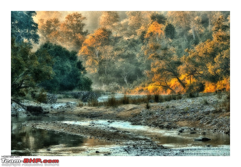 Fullmoon in Kumaon: Snapshots from a 7000km cross-country roadtrip-corbett-stream.jpg