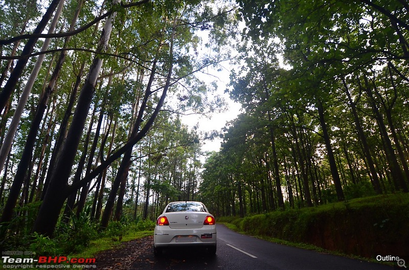 A Date with Monsoon at Wayanad-2ram_5067.jpg