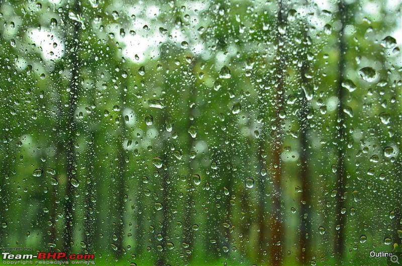 A Date with Monsoon at Wayanad-19ram_5145.jpg