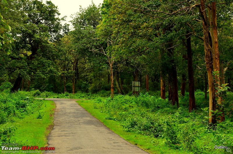 A Date with Monsoon at Wayanad-02ram_4954.jpg